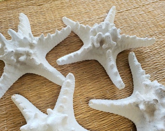 Natural Knobby Starfish 6"