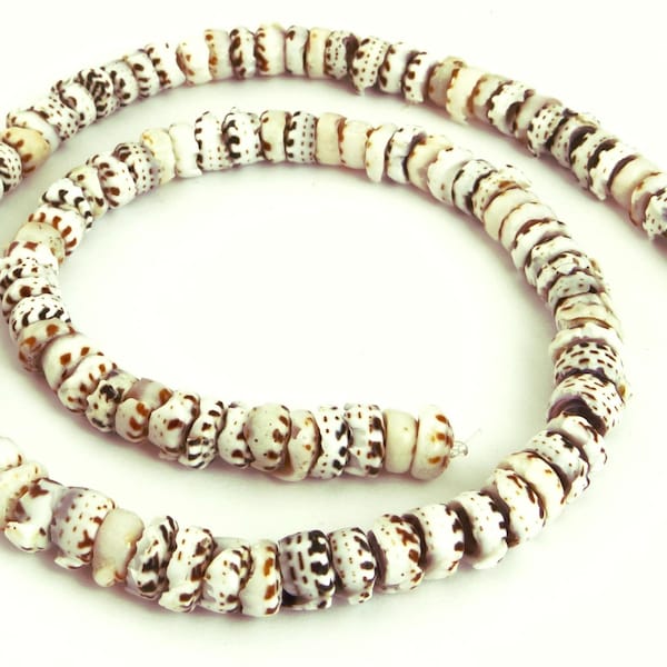 Cone Shell Jewelry Etsy