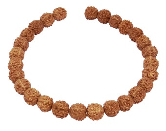 Rudraksha beads approx. 7-8 mm or 9 mm - approx. 27 seed beads natural beads for mala necklace & jewelry making