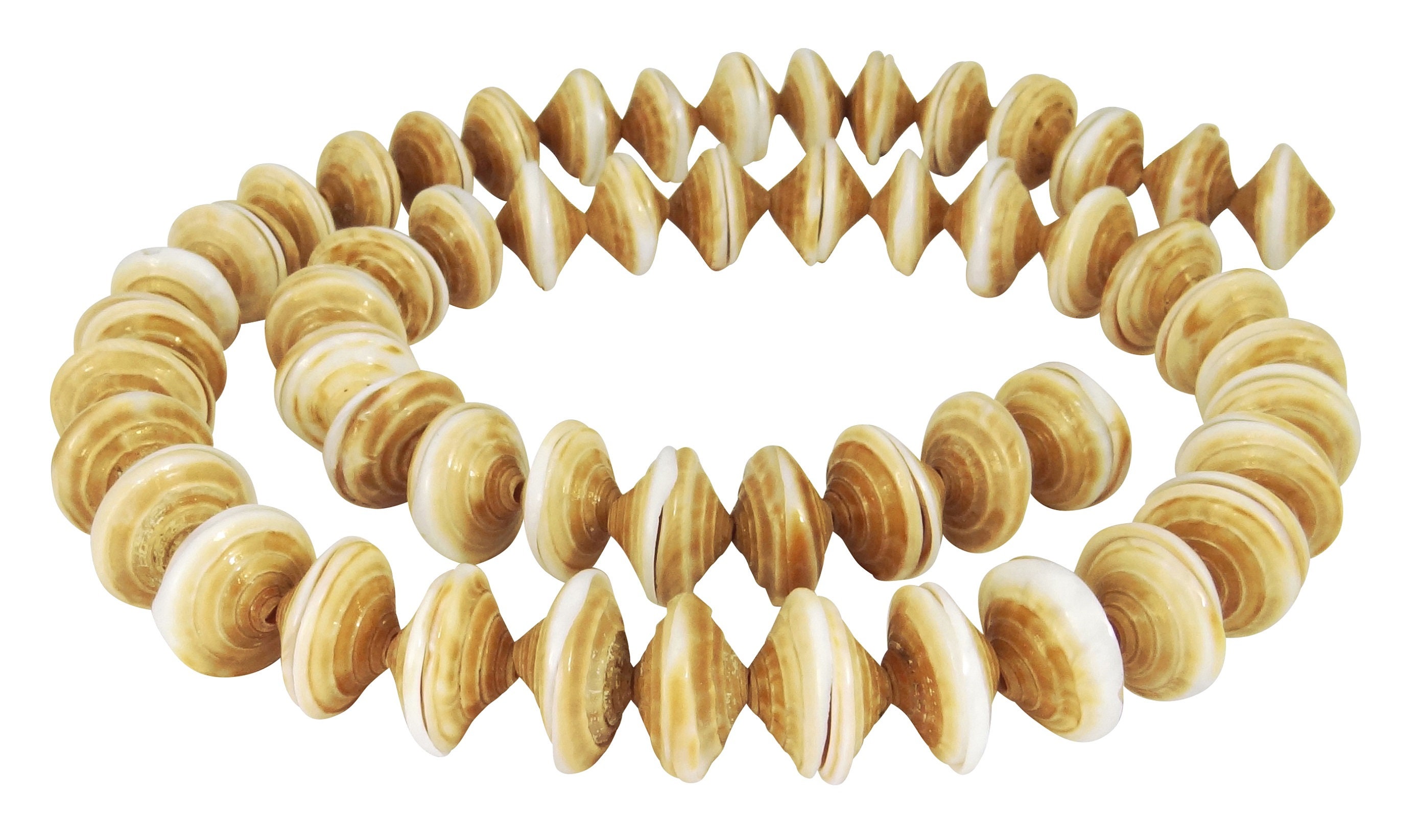 Ray Cone Ray Cone Snail Beads Shell Pair