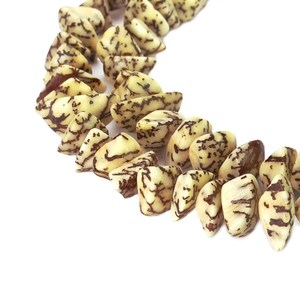 Betel nut beads triangle nuggets approx. 8-10 x 5 mm beads strand for necklace, bracelet & more ~ NATURAL beads ~ Nut beads ~ Wooden beads ~