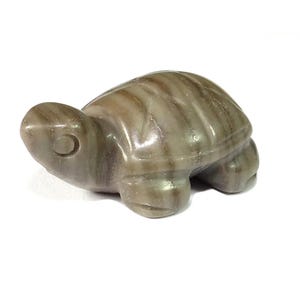 Colgante/cuenta de tortuga de piedra de madera