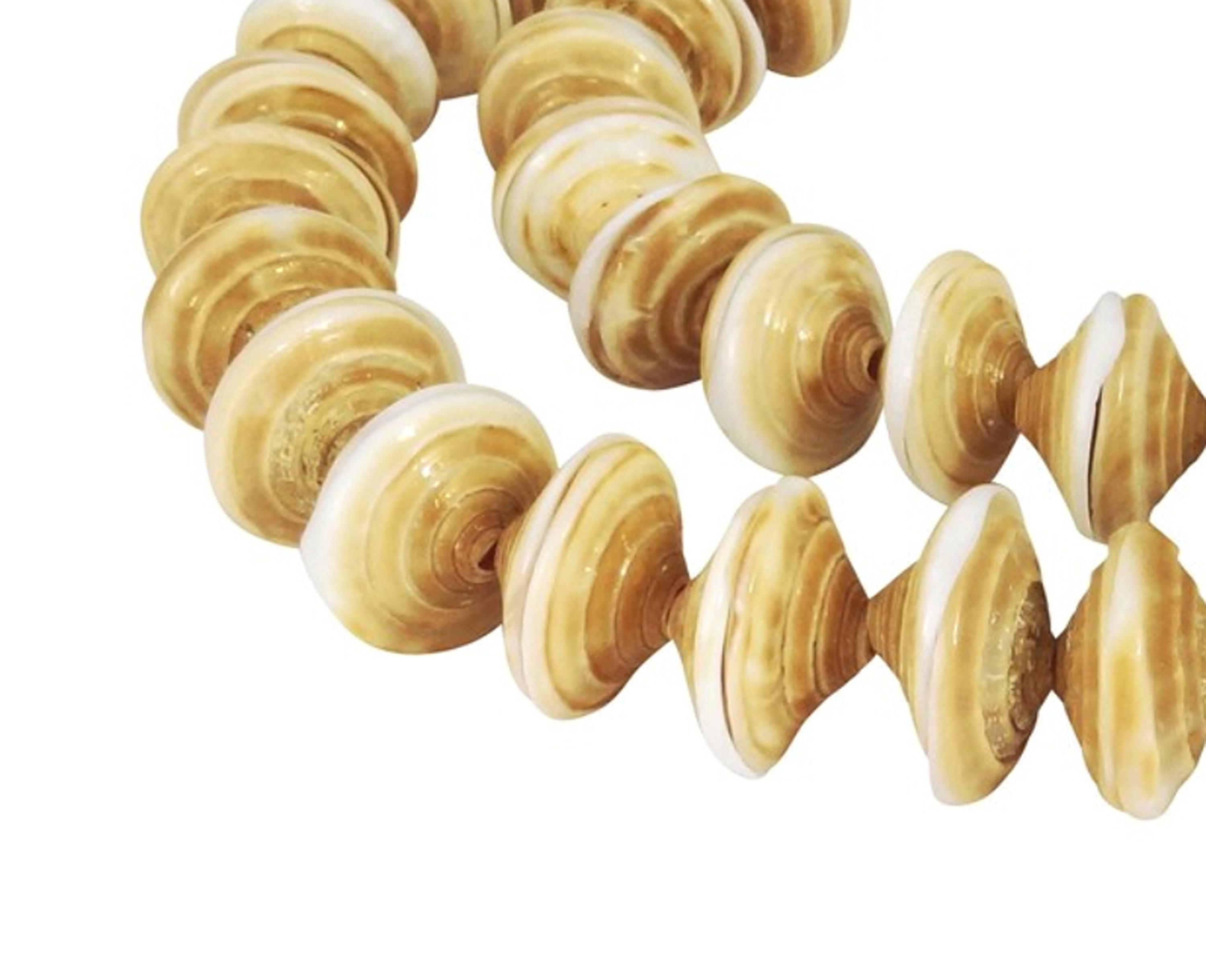 Ray Cone Ray Cone Snail Beads Shell Pair