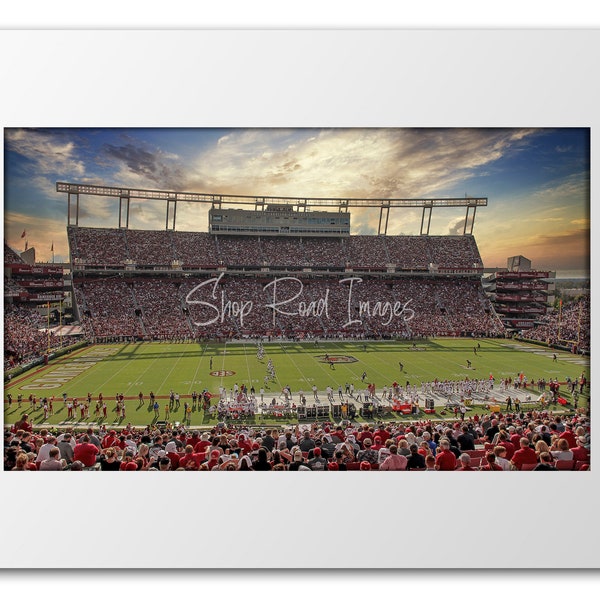 Williams Brice Stadium Wall Art Etsy