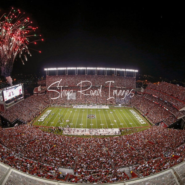Williams Brice Stadium Wall Art Etsy