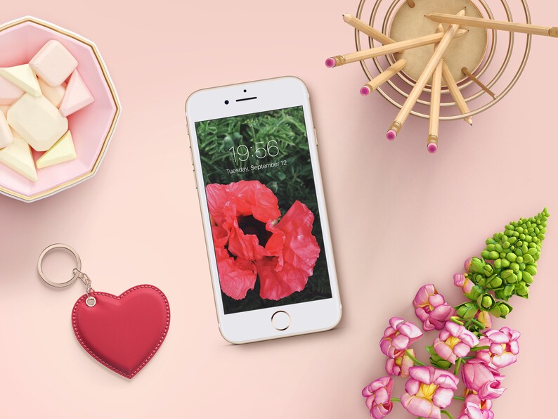 Cell Phone Wallpaper Pink Poppy Flowers Iphone Background Etsy