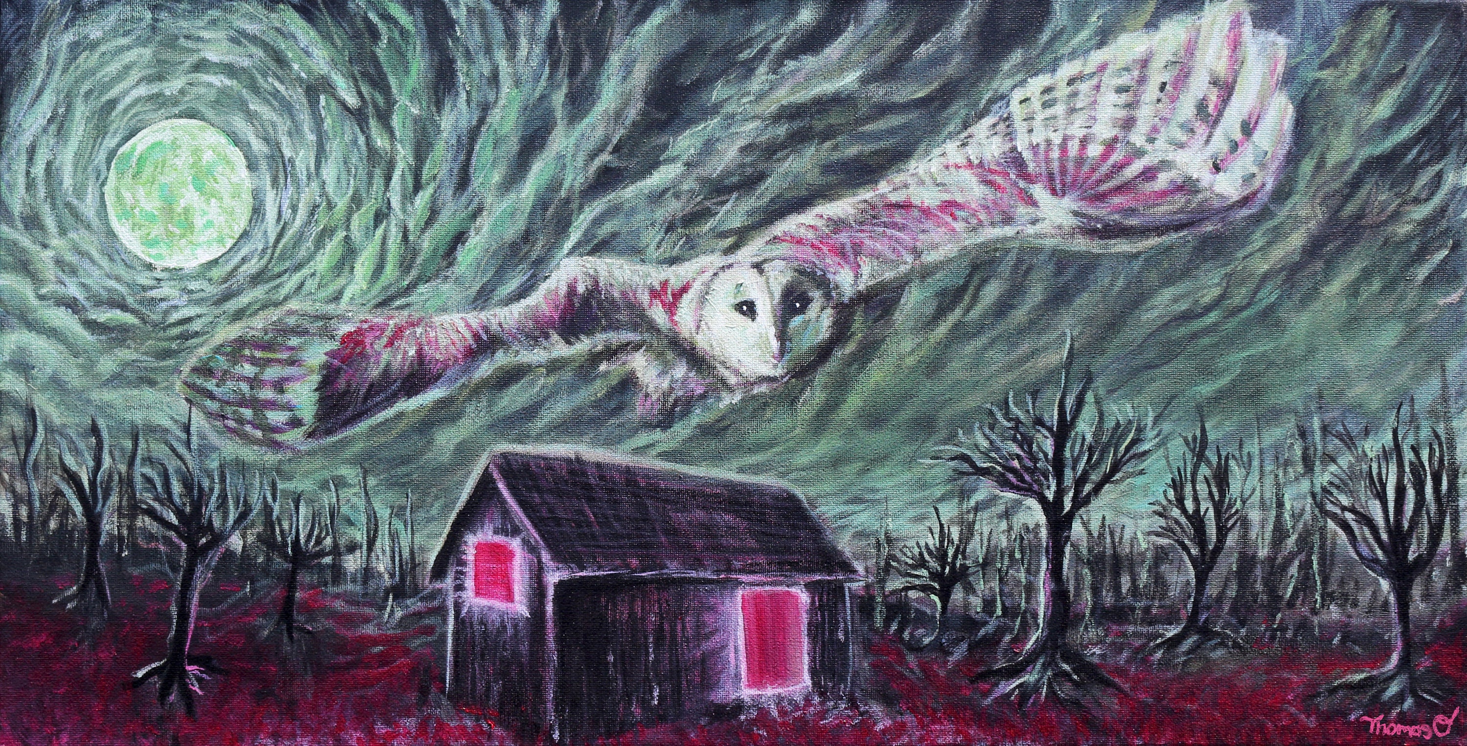 Barn Owl Nightscape