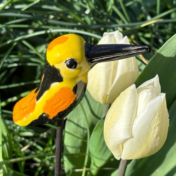 Kleines buntes Vögelchen