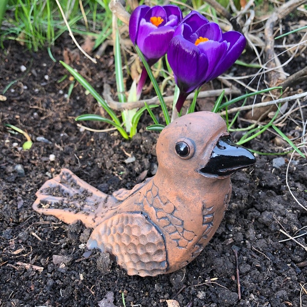 Vögelchen im Garten