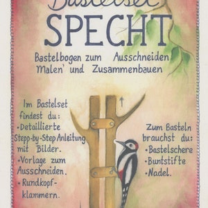 Für 5 Kinder Bastelset Specht 1 A3 und 5 A4 Bastelbögen afbeelding 3