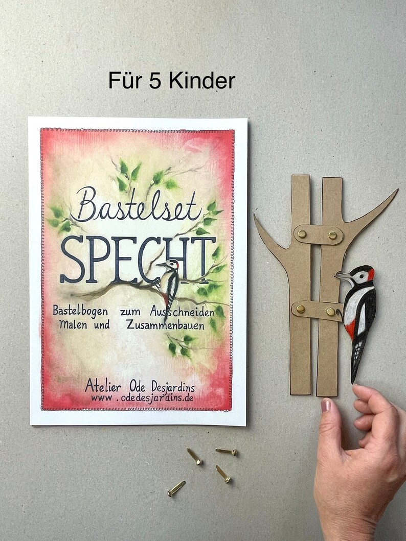 Für 5 Kinder Bastelset Specht 1 A3 und 5 A4 Bastelbögen afbeelding 1