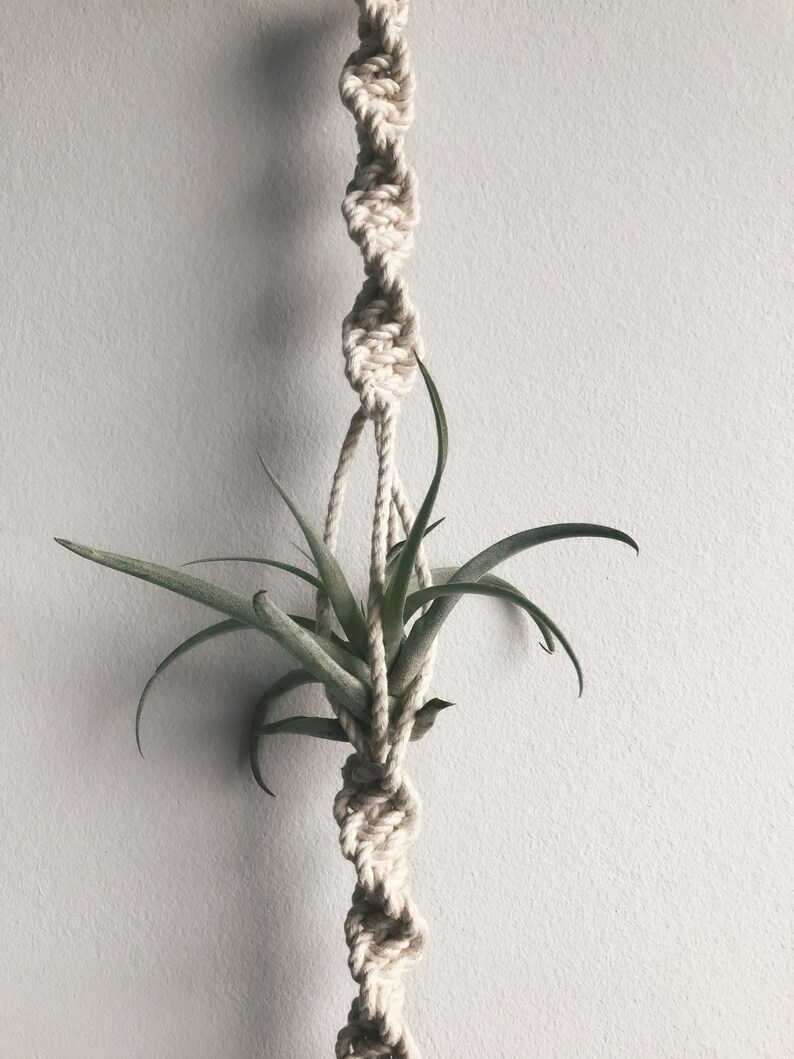 Double Macrame Air Plant Hanger Macrame Plant Hanger Etsy
