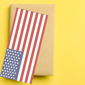 以下が含まれることがあります： 前面に赤、白、青のアメリカ国旗のデザインが施された茶色の紙の包み