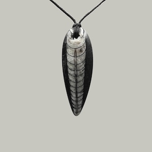 Orthoceras Fossil Pendant - Handmade