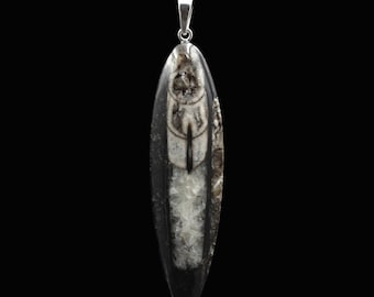 Orthoceras Fossil Anhänger (Groß) - Handarbeit