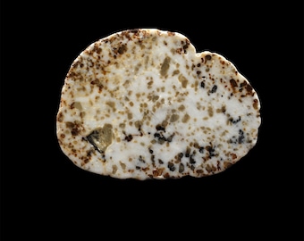 Scottish Iona Marble - Polished Slice
