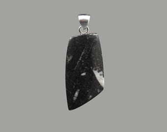 Orthoceras Fossilien in schwarzem Kalkstein Anhänger - Handarbeit
