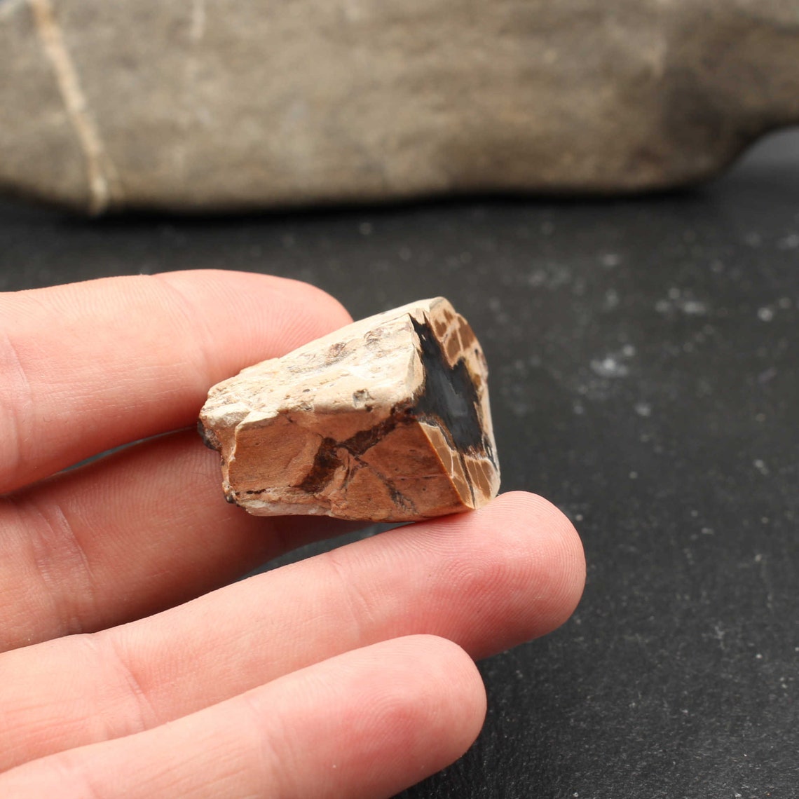 German Agate Polished Agate Specimen Etsy