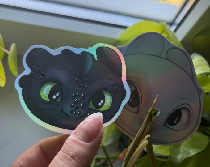 How to Train Your Dragon Sticker Etsy