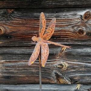 Może przedstawiać: Rusty metal dragonfly garden stake. The dragonfly has large, detailed wings and a slender body. The wings are a mix of orange and brown, with a textured, weathered appearance. The stake is attached to a metal rod.