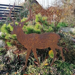 Décorations De Jardin En Métal Rouillé - Animaux Et Silhouettes Pour Terrasse, Balcon, Extérieur