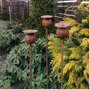 Set of 3 metal poppy flower garden stake, metal poppy head garden art, rusty poppy sign, metal art, rusty garden decor, poppy head stake