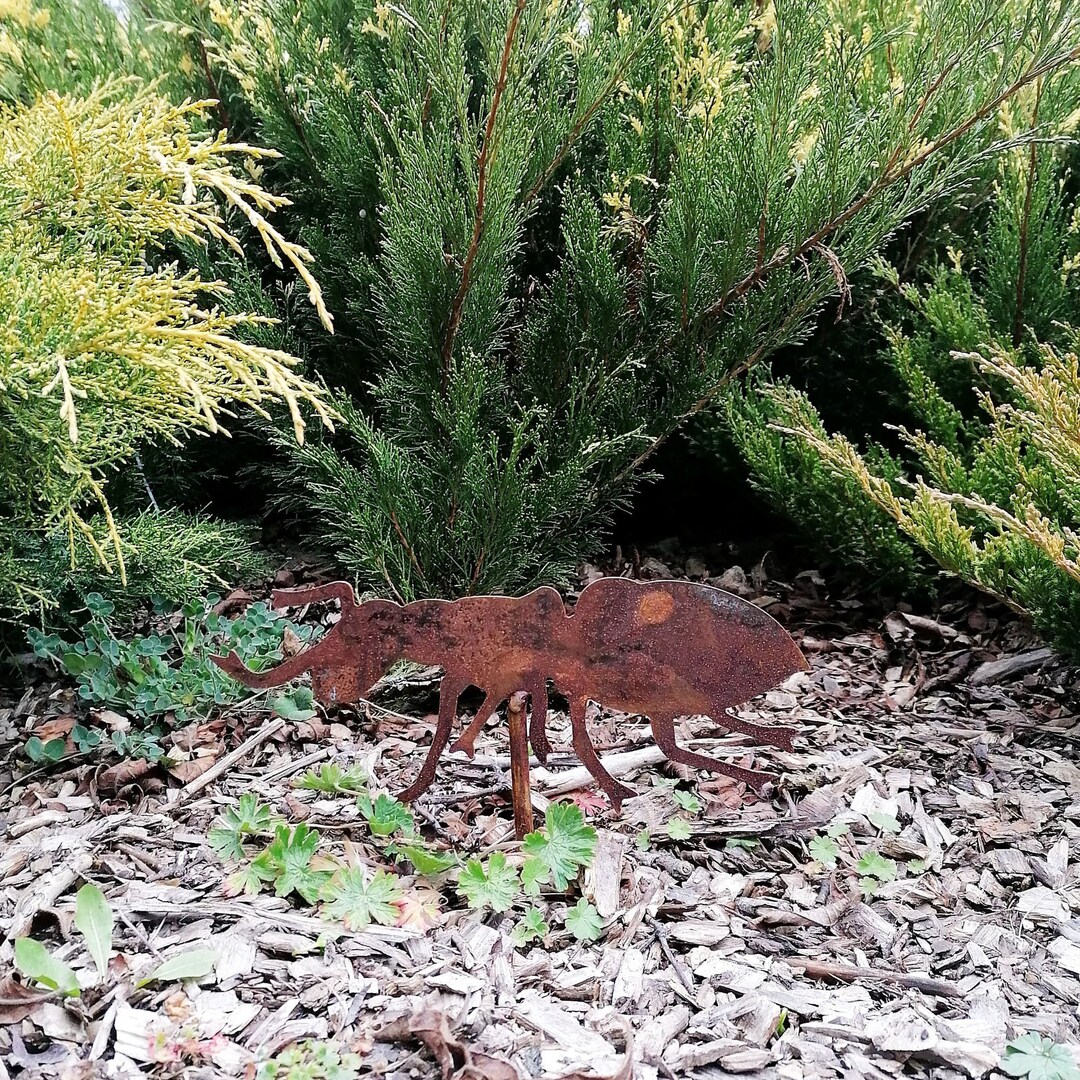 Metal Ant Garden Decor Metal Insect Garden Art Rusty Ant Etsy