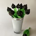 see more listings in the Tulips section