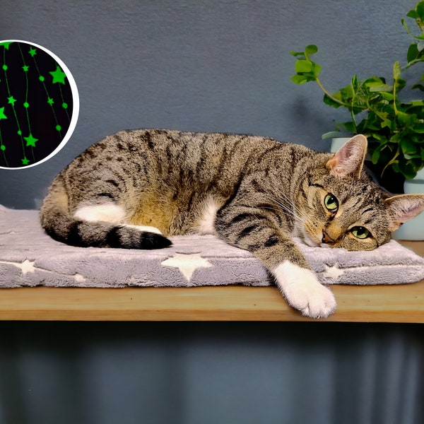 Premium Glow-in-the-dark Cat pillow for window sill and more, FUR PROOF, super soft, antislip, custom sizes NEW