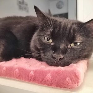 Almohada para ventana de gato, cojín para alféizar de ventana, cojín para asiento de ventana para gato, varios tamaños y personalizable, muchos colores