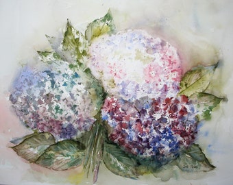 Hydrangea watercolor original