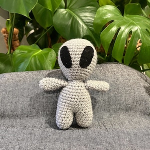 May include: A handmade gray crochet alien doll with black eyes. The alien has a small body, arms, and legs. The doll is sitting on a gray surface, with green leafy plants in the background.