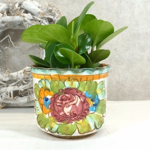 Puede incluir: Una maceta de cerámica blanca con un diseño floral en tonos naranja, amarillo, verde, azul y rosa. La maceta está llena de una planta verde.