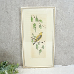 Mural, picture with bird motif &#39;Goldamsel, Pirol&#39;, framed and signed - handmade 1960s - wall decoration