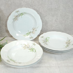 6 Art Nouveau plates, soup plates, dinner plates - around 1909 - Heinrich Porzellan