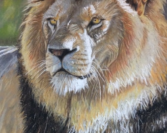Dessin original de pastel de Lion au soleil
