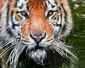 Peinture à l&#39;huile de tigre sur toile de coton Oeuvre d&#39;art originale « Tigre dans la rivière »