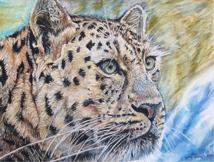 Dessin original de Pastel d’un portrait de léopard