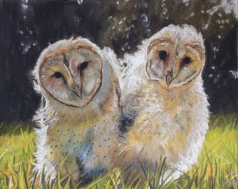 Original Pastel drawing of Baby Owlets