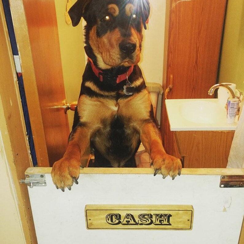 Personalized Custom Dog House Sign Pet Name Sign Pet Name Etsy