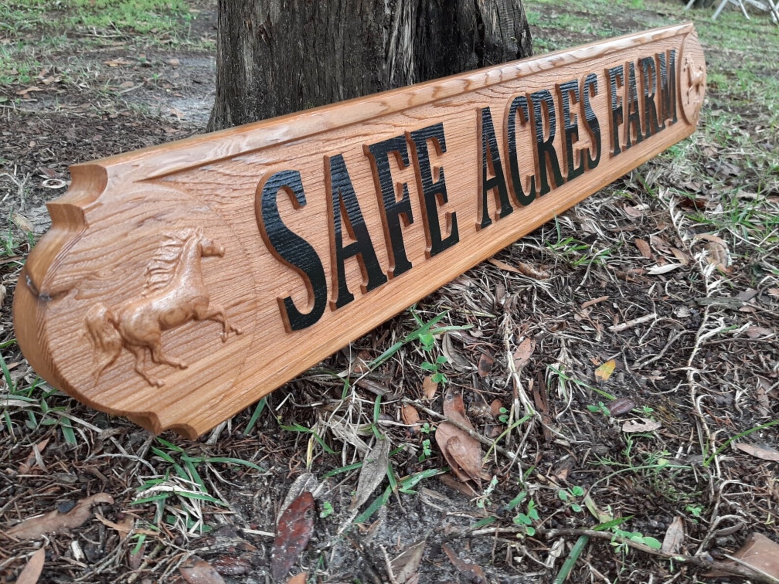 Horse Farm Outdoor Sign Riding Club Name Sign Personalized Etsy