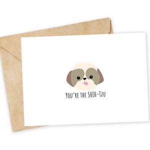 You're the SHIH-TZU - Puppywenskaart, bedankkaart, collega, kantoorkaart, jij bent de shi**, je bent geweldig, liefdeskaart, shih-tzu