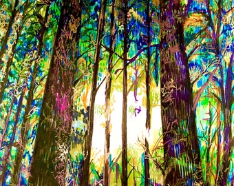 There IS Light in the Forest