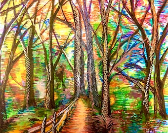 A Path to Light: The Woods Know What They Want