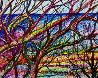 Winter Trees Over Lake Michigan