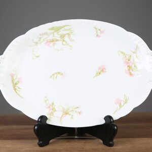 Antique Haviland Co Limoges France Pink Carnation Oval Serving Platter
