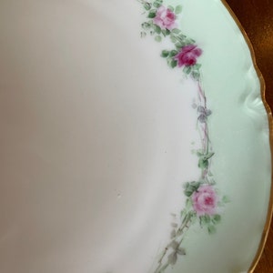 素敵でユニークな Haviland Handpainted Etsy - 食器
