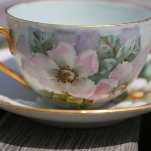 Antique Bavaria Signed Hand Painted Floral Design Tea Cup And Saucer