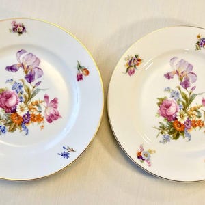 Pirkenhammer China - Etsy