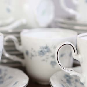 Blue Garland by Johann Haviland Bavarian Germany China Set, Cups and Saucers, Bread and Butter Plates